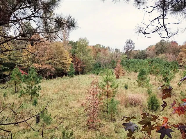 $635,000 | 7808 Highway 49, Snow Camp, NC 27349