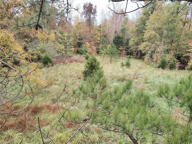 $635,000 | 7808 Highway 49, Snow Camp, NC 27349