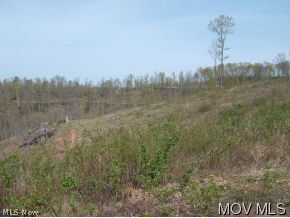 0 Tunnel Ridge Road Pennsboro, WV 26415 - Photo 2 of 3