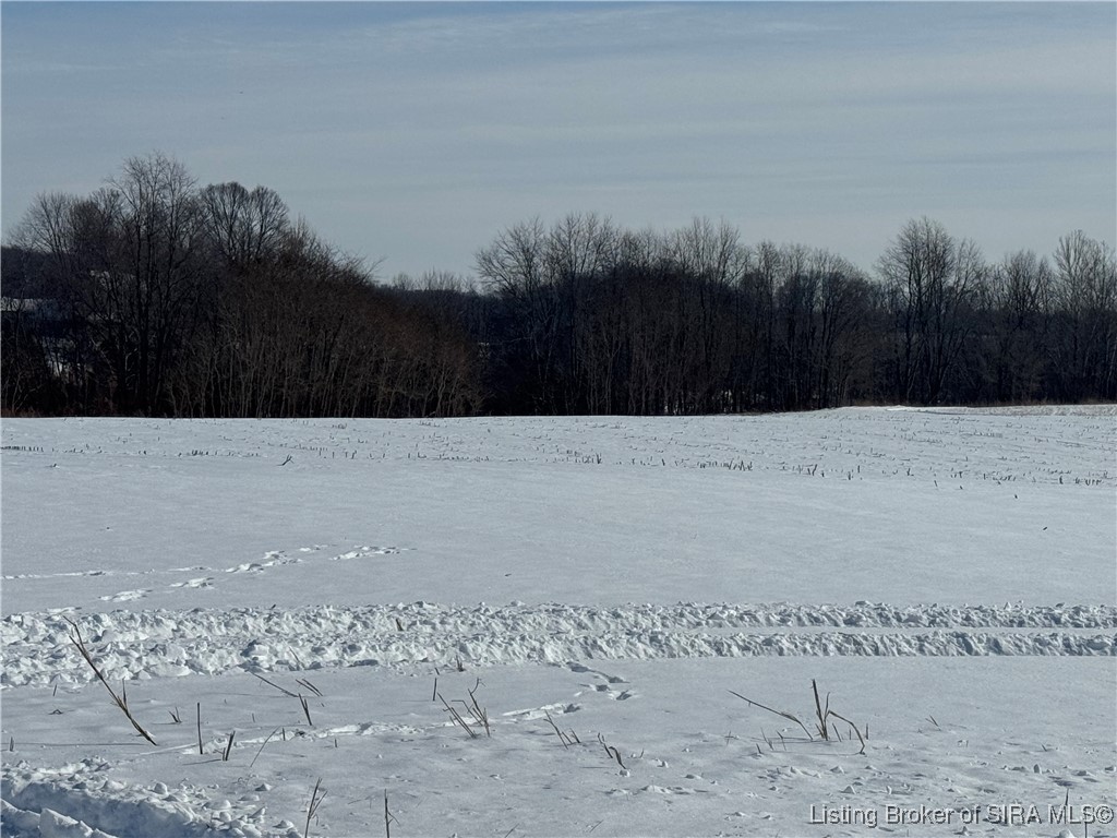 2293 North Quaker Road Salem, IN 47167 - Photo 4 of 4