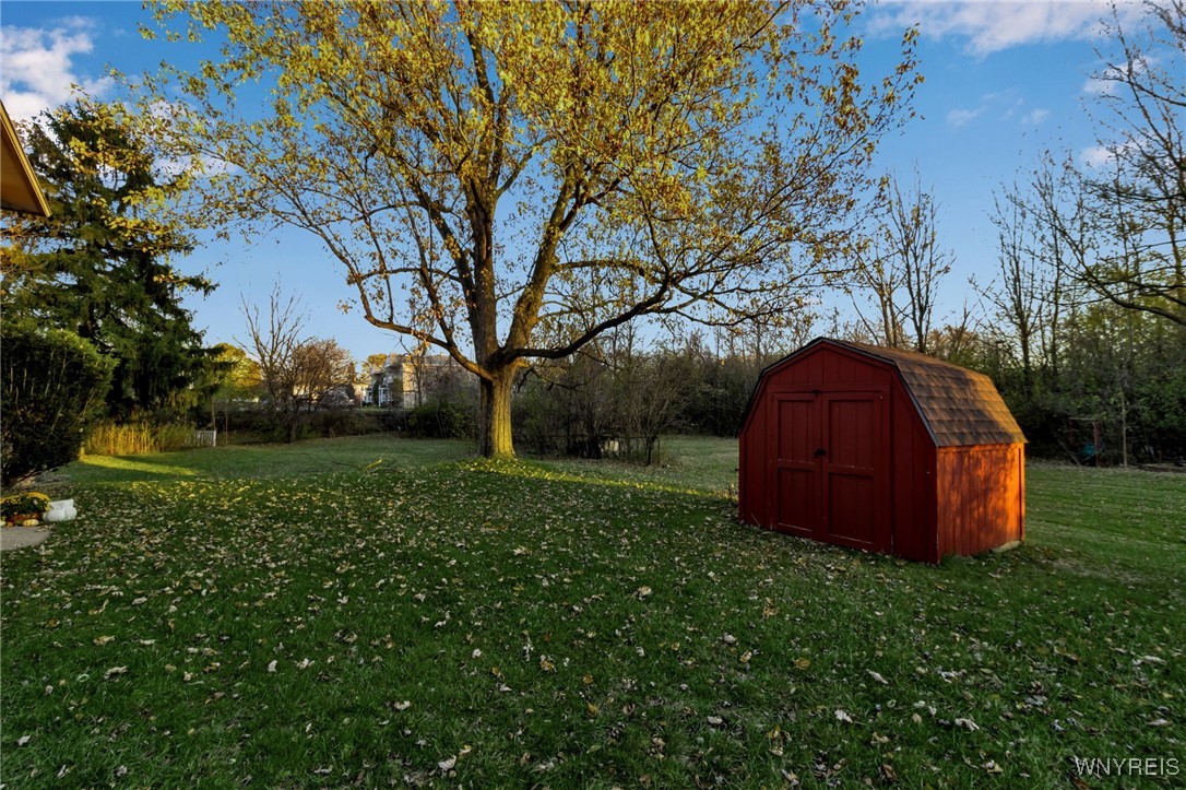 334 South Forest Road Amherst, NY 14221 - Photo 34 of 44 Large yard