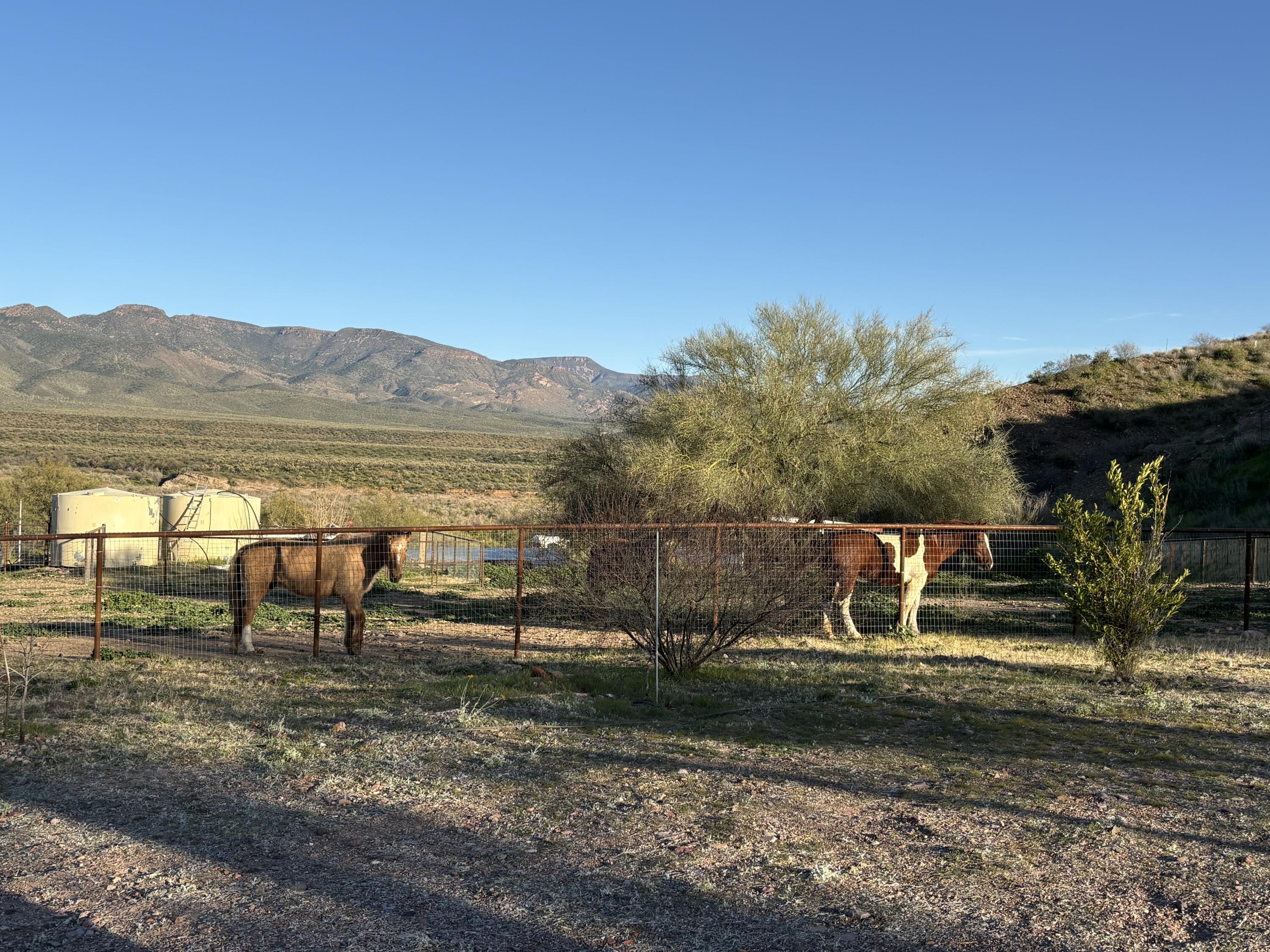 53282 Highway 188 Payson, AZ 85541 - Photo 3 of 66 Horse facilities