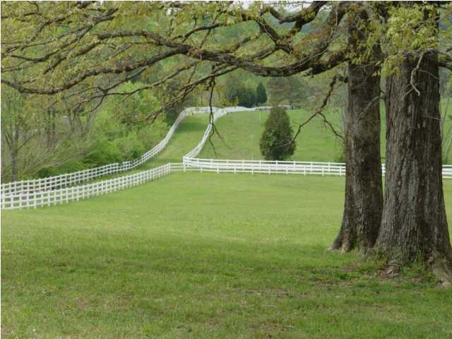 5 Baugh Springs Road, Unit LOT 5 McDonald, TN 37353 - Photo 2 of 4 Additional Photo
