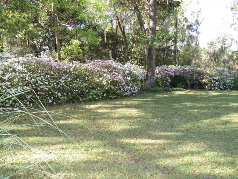 4546 High Grove Road Tallahassee, FL 32309 - Photo 4 of 25 Gallery Image 4