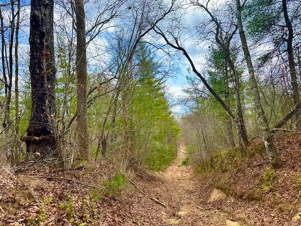 $424,000 | 144 Gunter Place, Sunbright, TN 37872