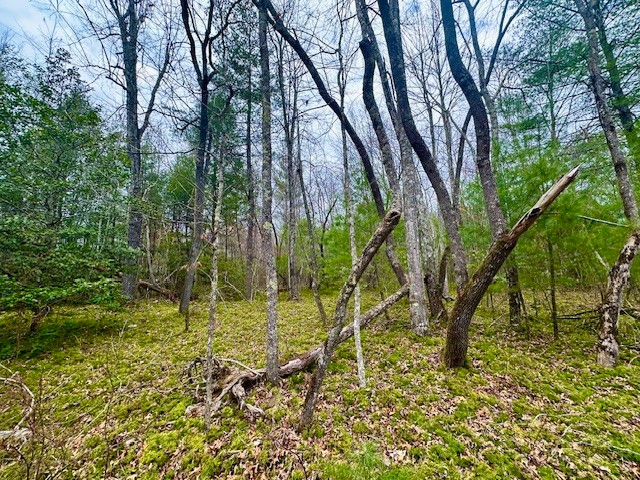 144 Gunter Place Sunbright, TN 37872 - Photo 7 of 7 a backyard of a building with table and chairs