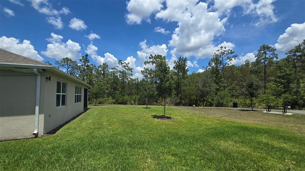 6114 Arbor Watch Loop Orlando, FL 32829 - Photo 42 of 59