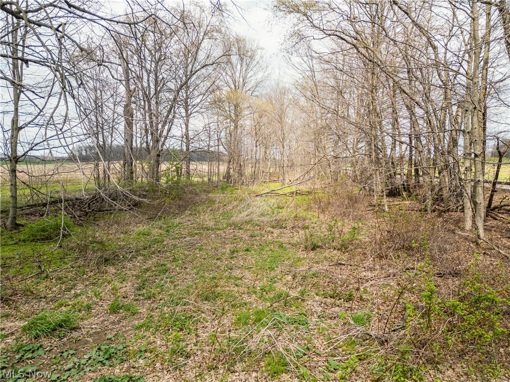 Steiner Road Sterling, OH 44276 - Photo 17 of 22