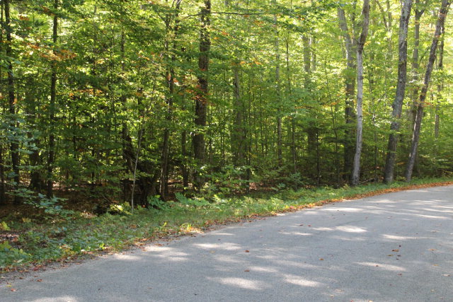 Cottage Road Ellison Bay, WI 54210 - Photo 2 of 2