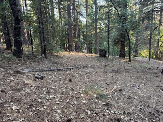 6235 Terrace Drive Pollock Pines, CA 95726 - Photo 11 of 15 a view of a forest with trees in the background