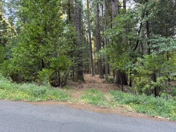 a green field with trees in the background