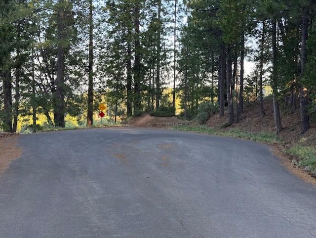 6235 Terrace Drive Pollock Pines, CA 95726 - Photo 15 of 15 a view of outdoor space and yard