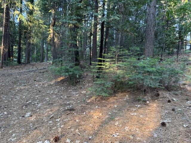 6235 Terrace Drive Pollock Pines, CA 95726 - Photo 6 of 15 a view of outdoor space and green space