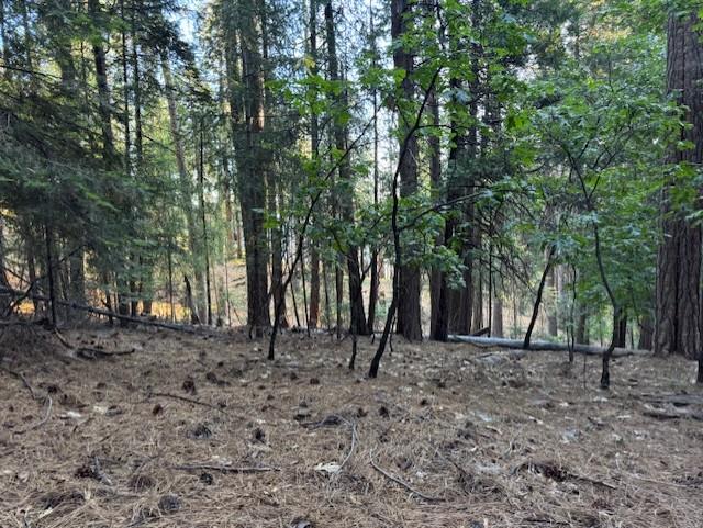 6235 Terrace Drive Pollock Pines, CA 95726 - Photo 7 of 15 a backyard of a house with lots of trees