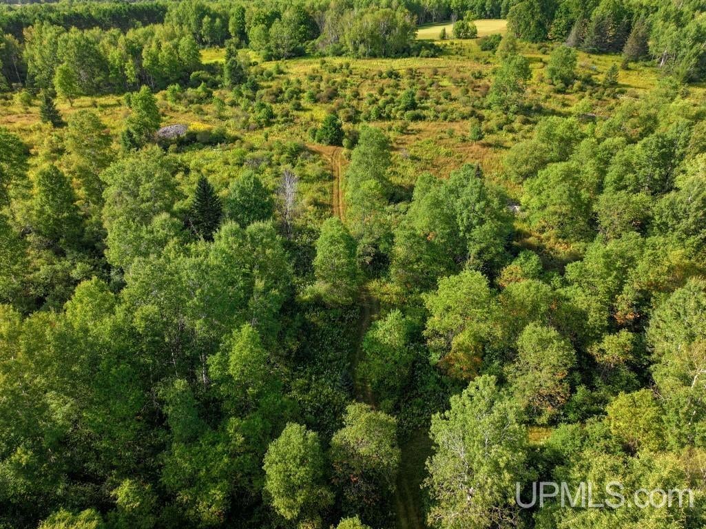576 Bates-Gaastra Road Iron River, MI 49935 - Photo 60 of 68 Gallery Image 60