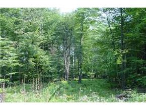 0 Clay Hill Road Hartland, VT 05048 - Photo 2 of 2