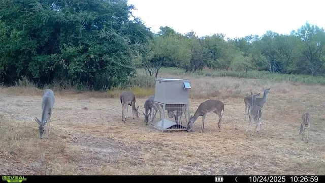 a view of a fireplace