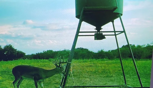 a view of a swimming pool from a balcony