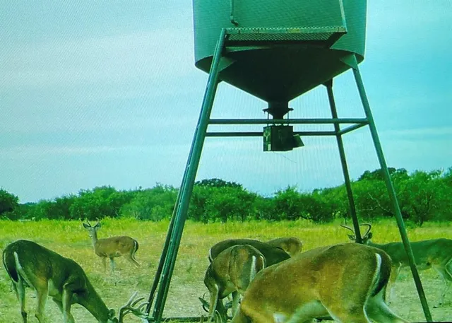 a picture of a bathroom sink
