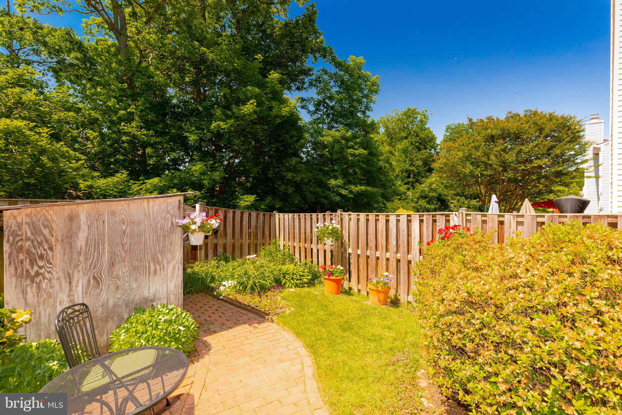 5658 Ridge View Drive Alexandria, VA 22310 - Photo 22 of 26 Backyard