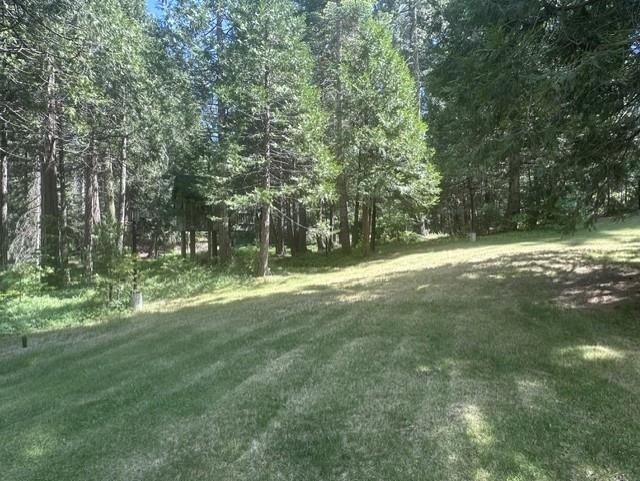 39112 Littlefield Road Shaver Lake, CA 93664 - Photo 48 of 53