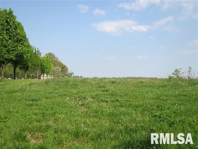 18020 Monroe Road Johnston City, IL 62951 - Photo 1 of 8 Gallery Image 1
