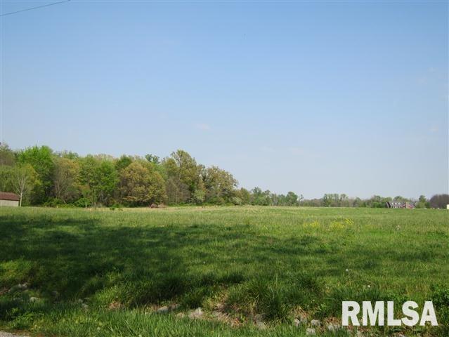 18020 Monroe Road Johnston City, IL 62951 - Photo 8 of 8 Gallery Image 8