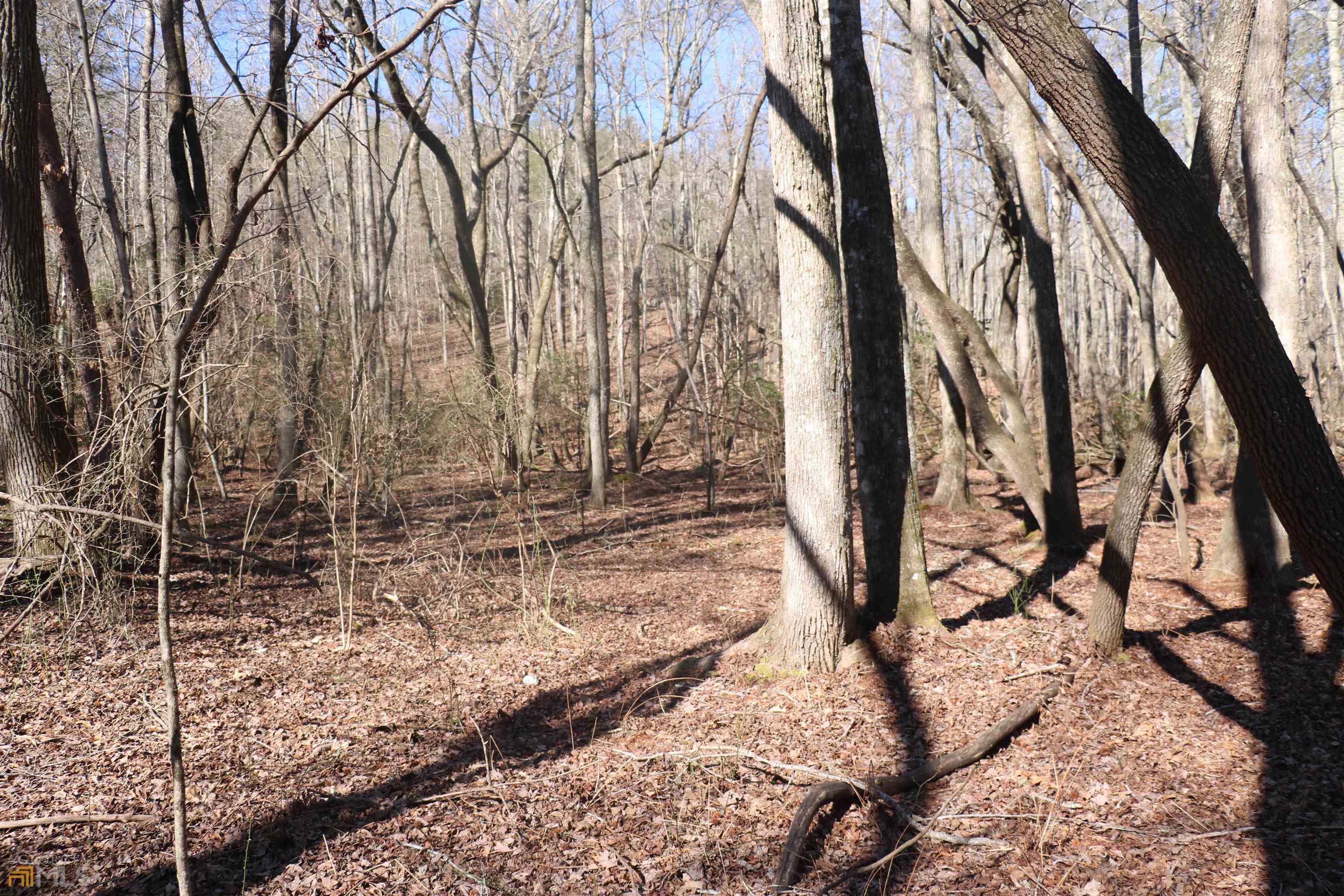 a view of backyard with green space