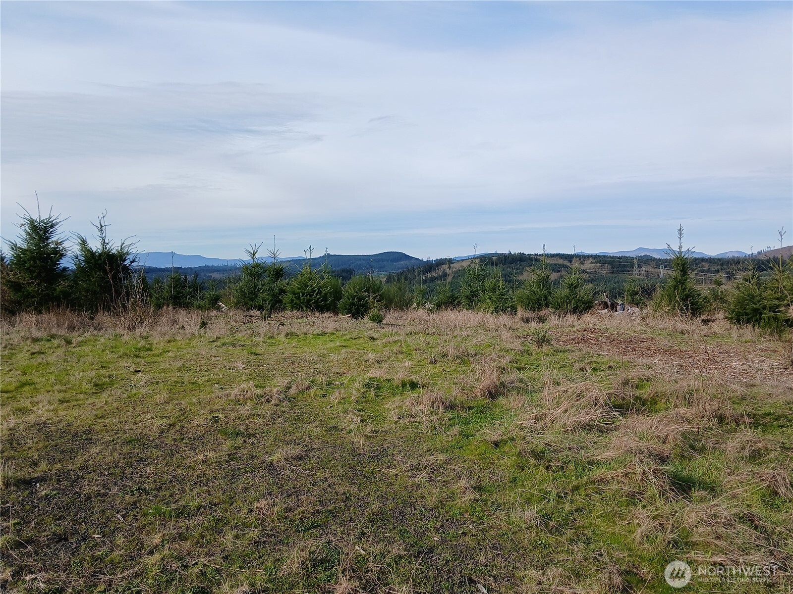 0 Hale Road West Winlock, WA 98596 - Photo 12 of 21