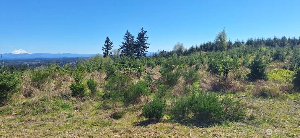 0 Hale Road West Winlock, WA 98596 - Photo 21 of 21