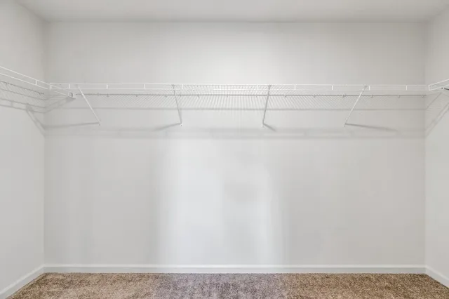 a view of a pathway both side of house