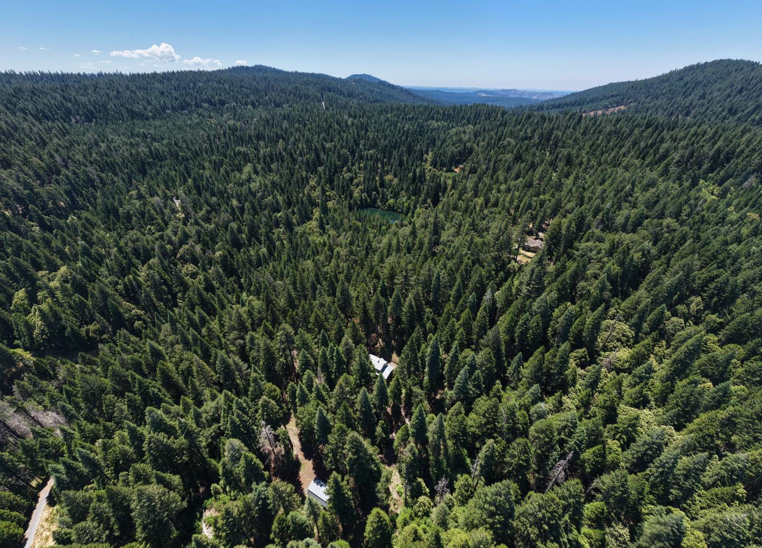 10075 White Fir Road Georgetown, CA 95634 - Photo 31 of 35