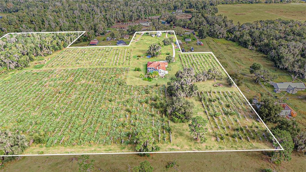 331 Lewis Road Lithia, FL 33547 - Photo 75 of 87 Gallery Image 75