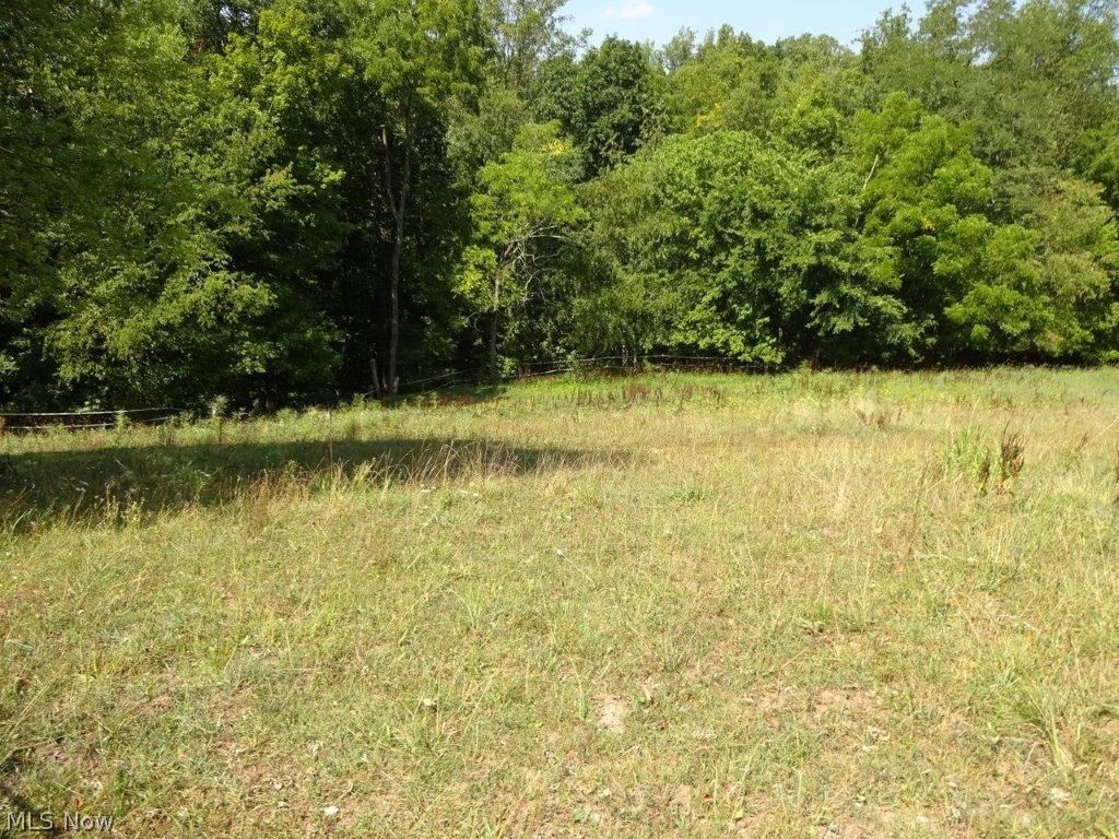 1701 Long Ridge Road Elkview, WV 25071 - Photo 11 of 50