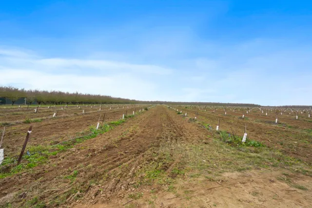 $1,715,000 | 16221 Carrolton Road, Escalon, CA 95320