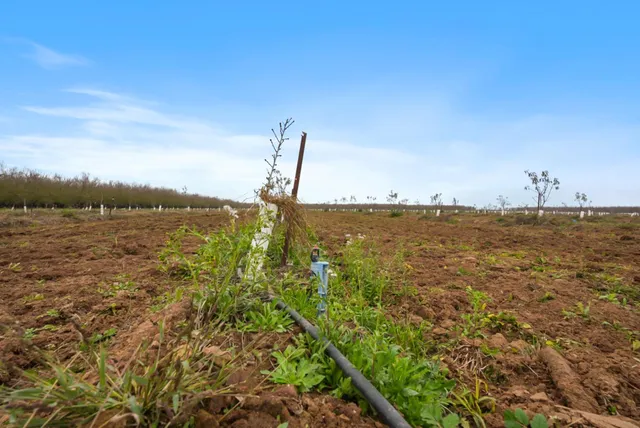 $1,715,000 | 16221 Carrolton Road, Escalon, CA 95320