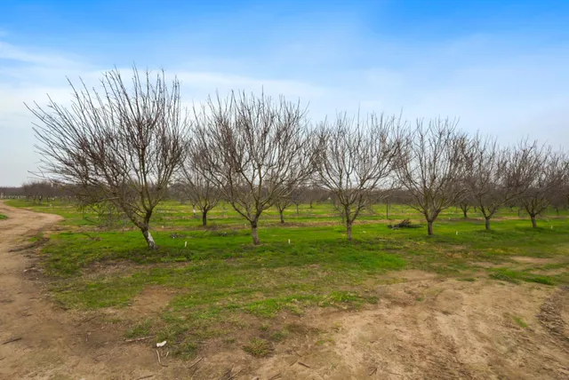 $1,715,000 | 16221 Carrolton Road, Escalon, CA 95320