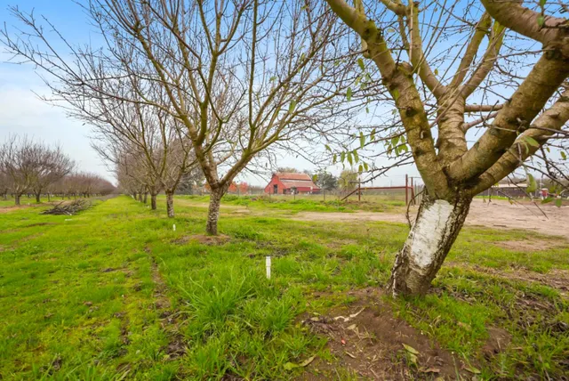 $1,715,000 | 16221 Carrolton Road, Escalon, CA 95320