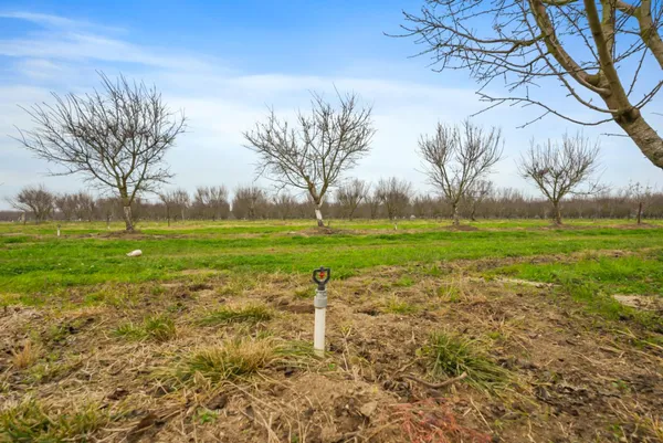$1,643,500 | 16221 Carrolton Road, Escalon, CA 95320