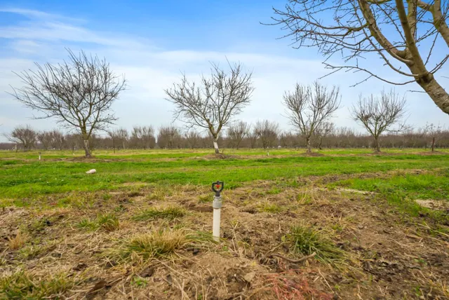 $1,715,000 | 16221 Carrolton Road, Escalon, CA 95320