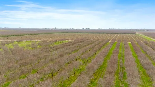 $1,643,500 | 16221 Carrolton Road, Escalon, CA 95320