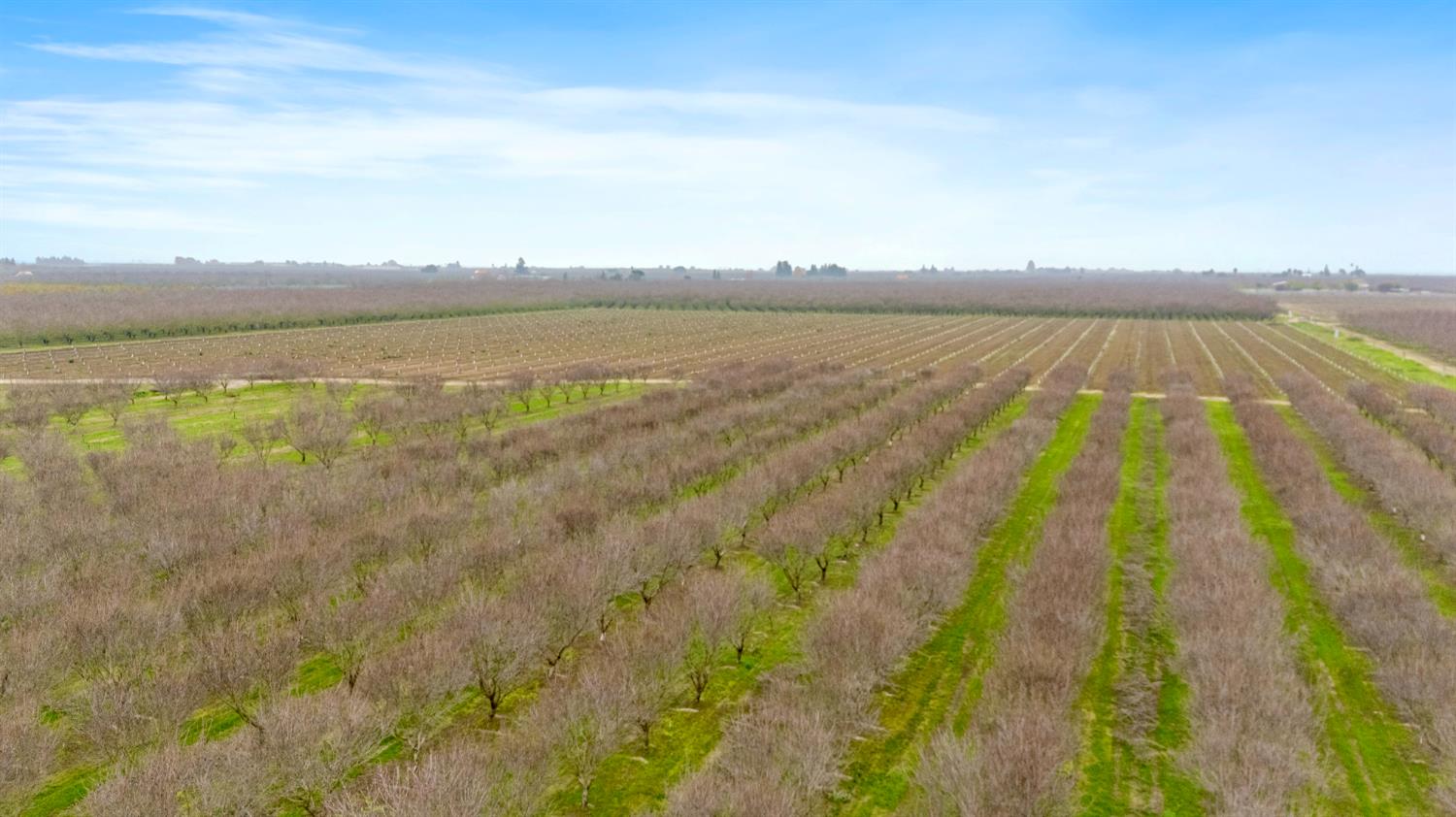 16221 Carrolton Road Escalon, CA 95320 - Photo 21 of 48 a view of an outdoor space and lake view
