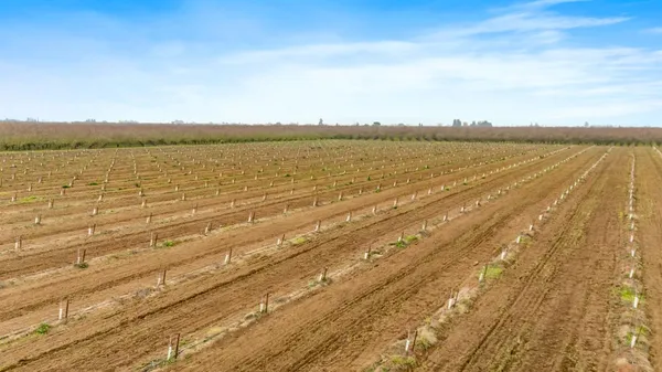 $1,643,500 | 16221 Carrolton Road, Escalon, CA 95320