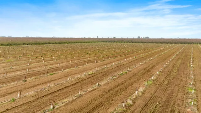 $1,715,000 | 16221 Carrolton Road, Escalon, CA 95320