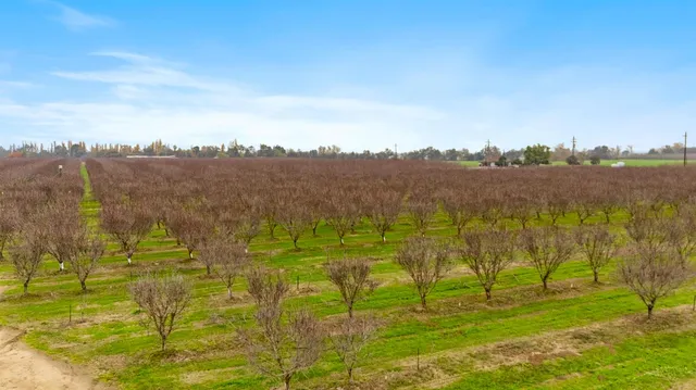 $1,715,000 | 16221 Carrolton Road, Escalon, CA 95320