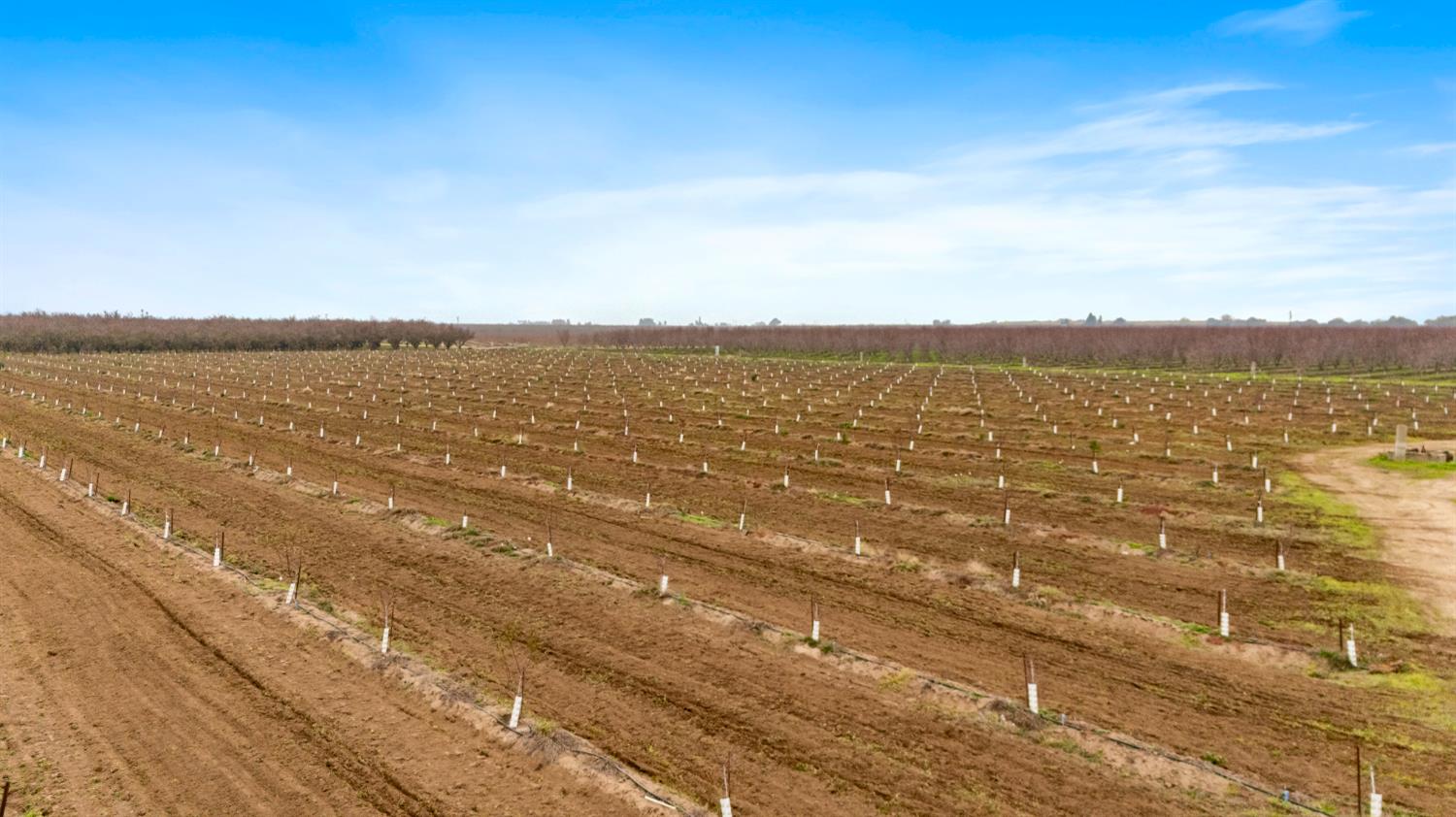 16221 Carrolton Road Escalon, CA 95320 - Photo 24 of 48 a view of an ocean