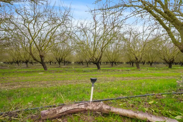 $1,715,000 | 16221 Carrolton Road, Escalon, CA 95320