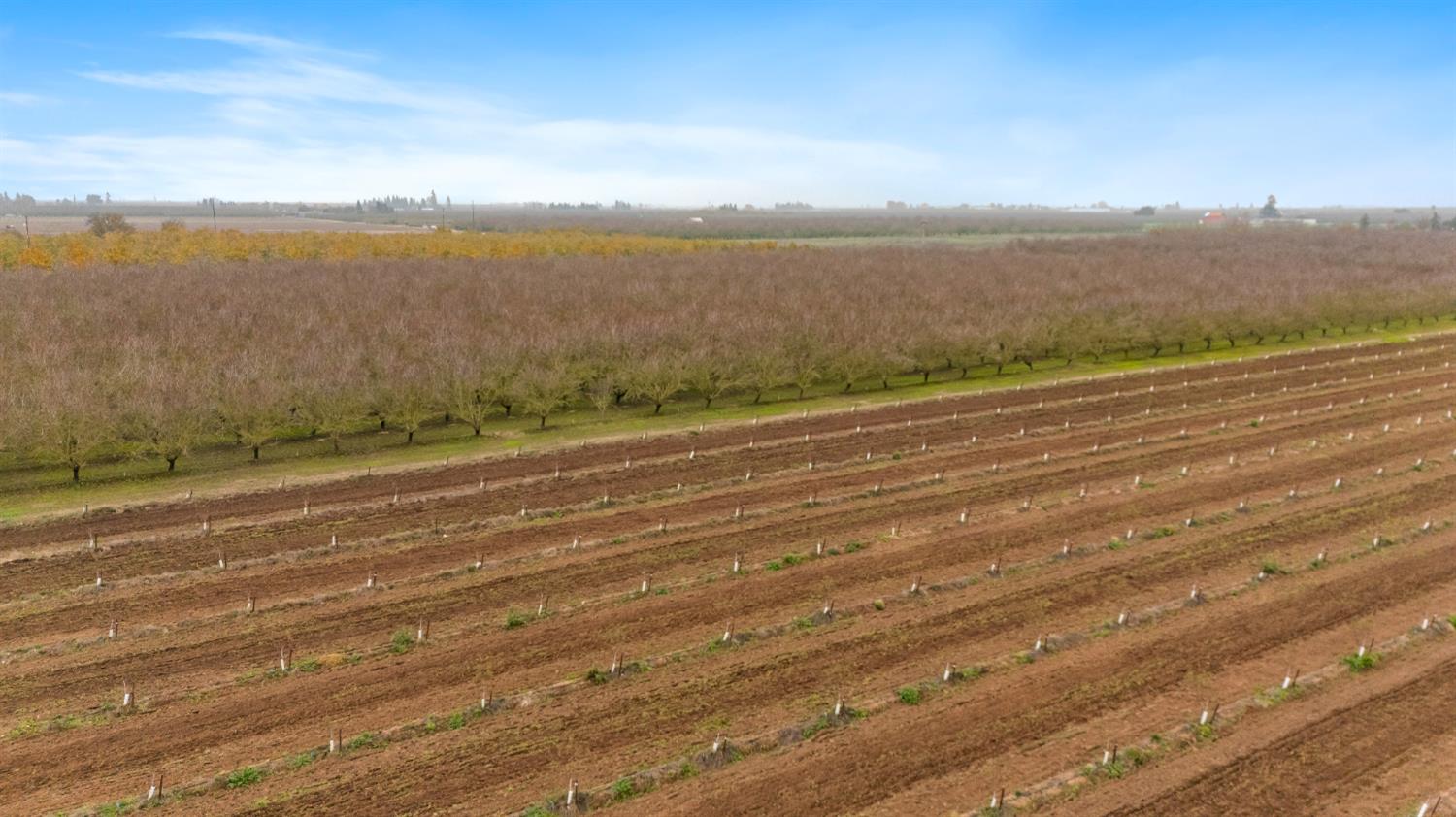 16221 Carrolton Road Escalon, CA 95320 - Photo 26 of 48 a view of an ocean and beach