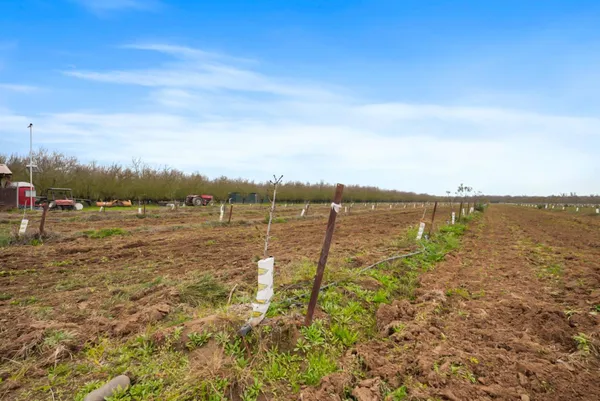 $1,643,500 | 16221 Carrolton Road, Escalon, CA 95320