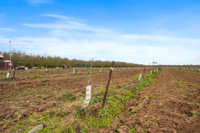 $1,715,000 | 16221 Carrolton Road, Escalon, CA 95320